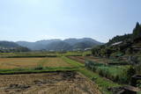 伊勢 霧山城の写真