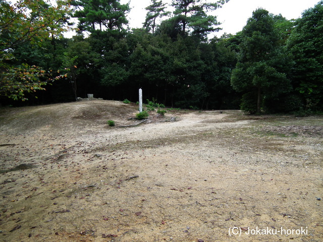 伊勢 岸岡城の写真