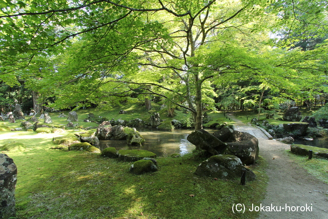 伊勢 北畠氏館の写真