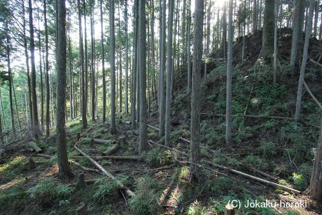 伊勢 北畠氏館詰城の写真