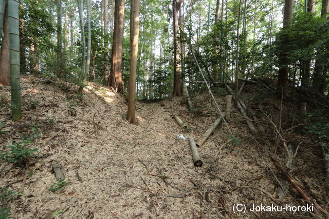 伊勢 前田城の写真