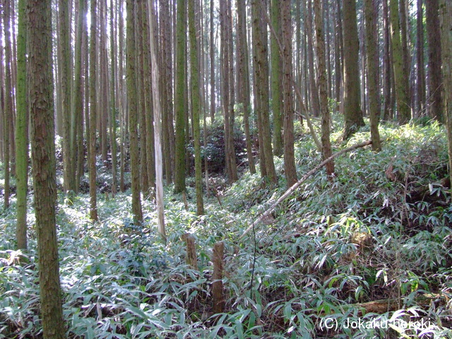 伊勢 中森氏城の写真