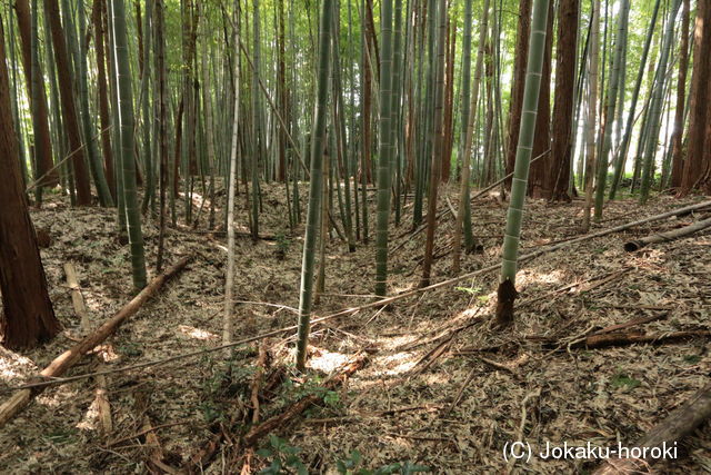 伊勢 野呂氏館の写真