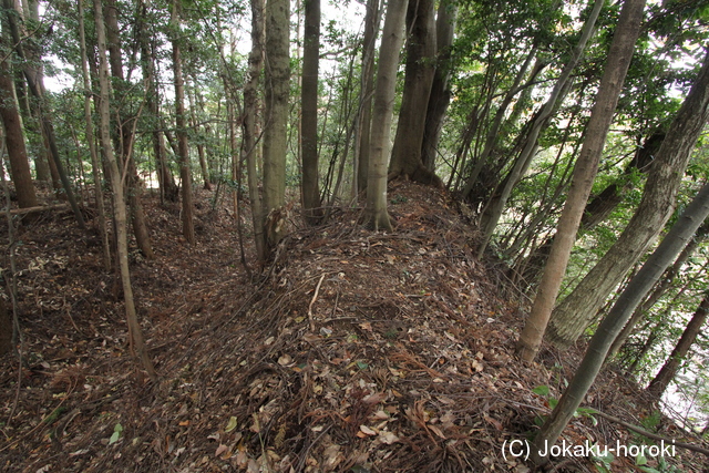 伊勢 落山城の写真