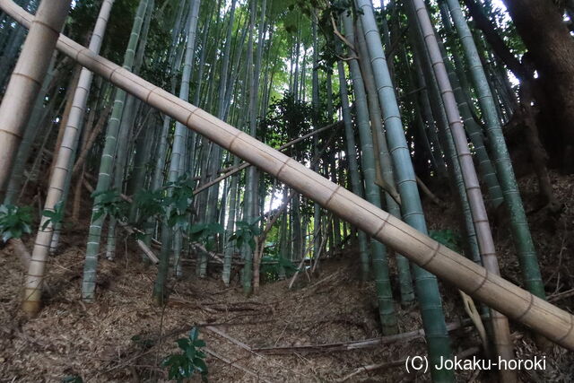 伊勢 下野城の写真