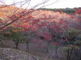 伊勢 正法寺山荘の写真