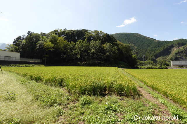 伊勢 谷野城の写真