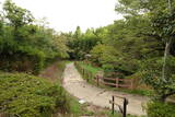 伊勢 上野城の写真