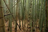 伊勢 上野城の写真