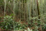 伊勢 上野城の写真