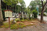 伊勢 上野城の写真