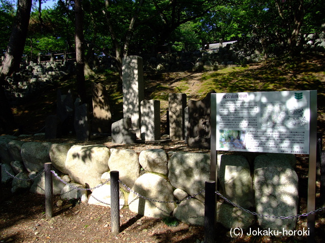 伊勢 矢田城の写真