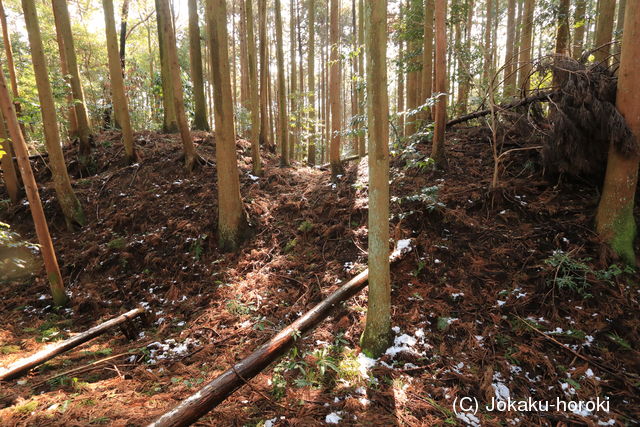 伊勢 山口城の写真