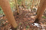 伊勢 山口城の写真