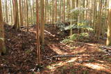 伊勢 山口城の写真