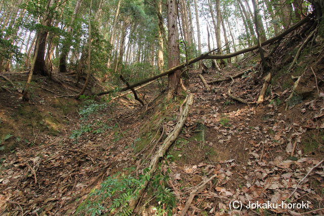 石見 琵琶甲城の写真