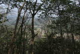 石見 琵琶甲城の写真