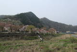 石見 琵琶甲城の写真