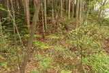 石見 千穂山城の写真