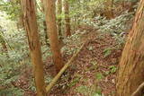 石見 千穂山城の写真