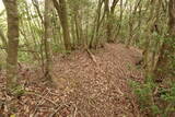 石見 千穂山城の写真