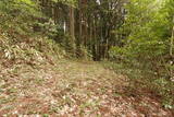 石見 千穂山城の写真