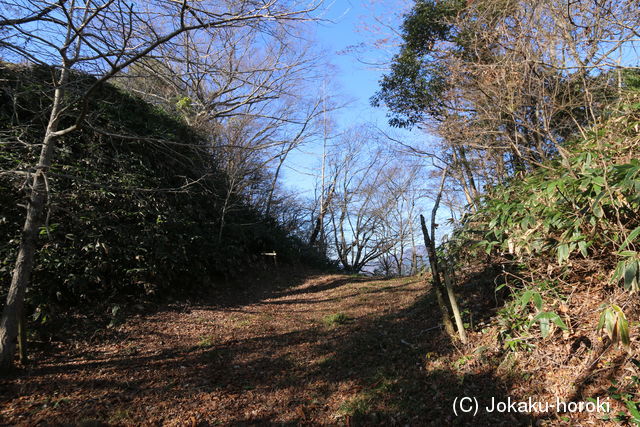 石見 二ツ山城の写真