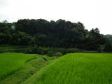 石見 波田城の写真
