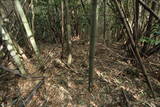 石見 原城の写真