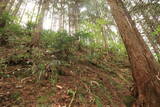 石見 幡屋城の写真