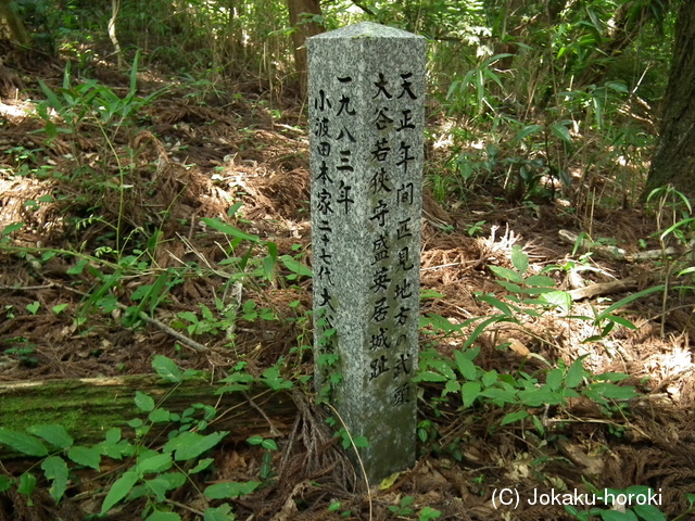 石見 広瀬城の写真