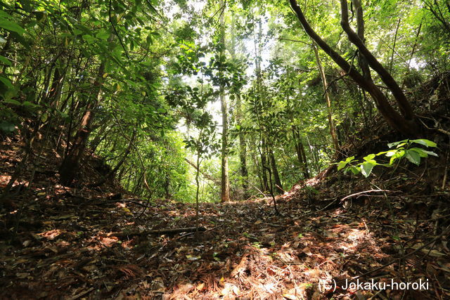 石見 松山城(江津市)の写真
