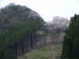 石見 入船山城の写真