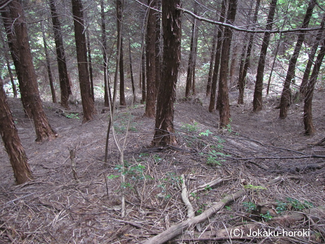 石見 陣山城の写真