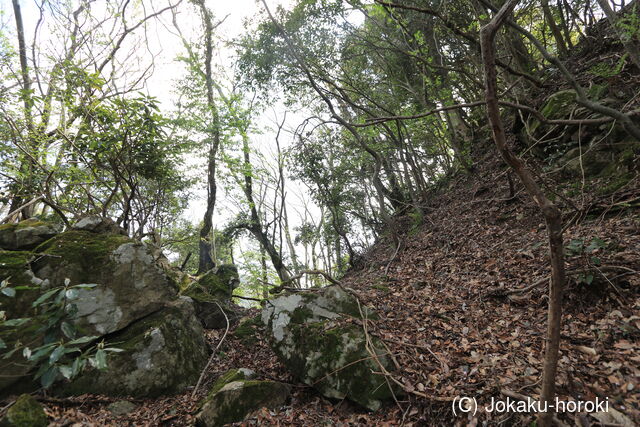 石見 雲井城の写真