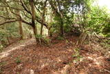 石見 三隅城の写真