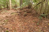 石見 三隅城の写真