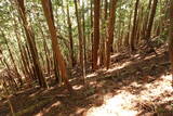 石見 三隅城の写真
