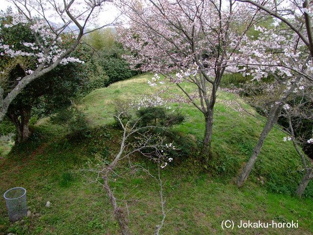 石見 向横田城の写真