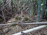 石見 佐賀里松城の写真