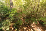 石見 三本松城北砦の写真