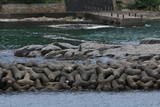 石見 笹島城の写真