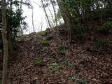 石見 下瀬山城の写真