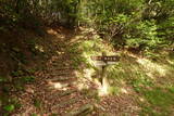 石見 殿峰城の写真