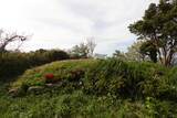 石見 殿峰城の写真