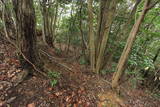 石見 内田要害山城の写真