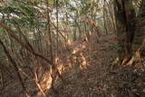 石見 内田要害山城の写真