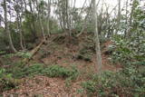 石見 馬谷高嶽城の写真