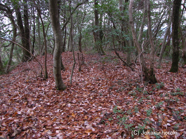 石見 宇山城砦群赤城の写真