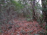 石見 宇山城砦群赤城の写真